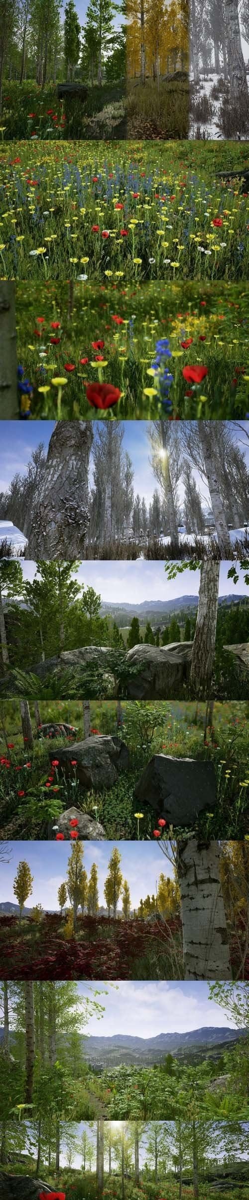 CGTrader – Scanned Poplar and Aspen Forest with Seasons for Unreal Engine 4 Low-poly 3D model