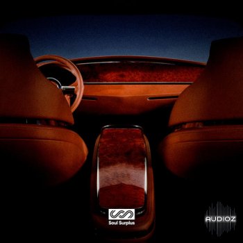 Soul Surplus Woodgrain WAV-DECiBEL
