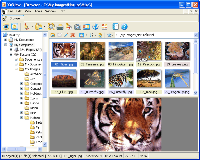 XnView 2.49 Complete Multilingual
