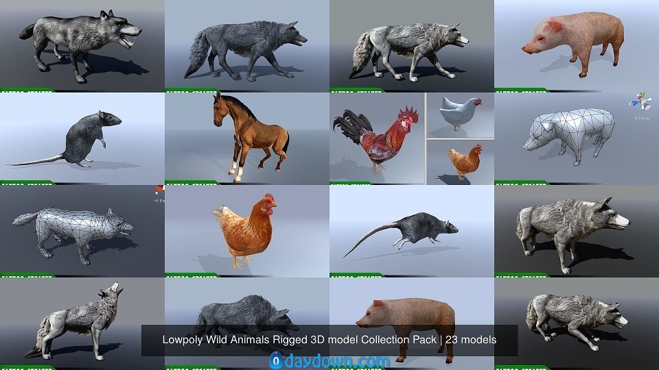 CGTrader – Lowpoly Wild Animals Rigged 3D models Collection Pack