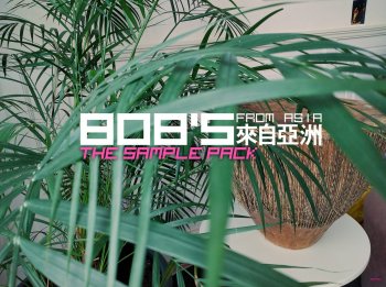 DELAY 808’s from Asia The Sample Pack WAV
