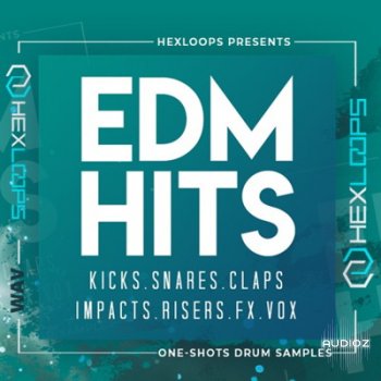 Hexloops EDM Hits WAV MiDi MERRY XMAS screenshot