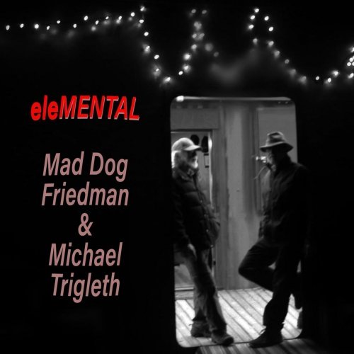 Mad Dog Friedman – Elemental (2019) FLAC