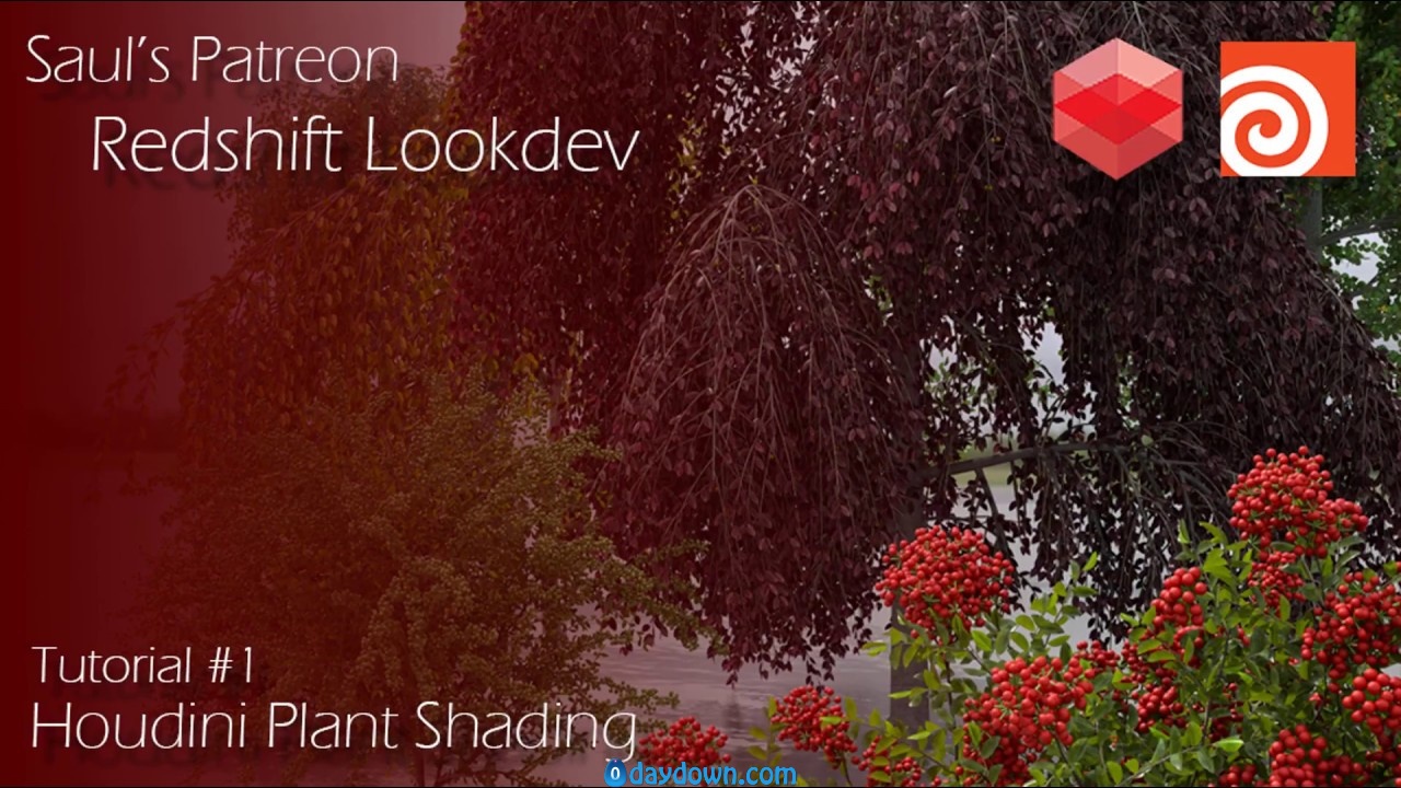 Patreon – Redshift + Houdini Plant Lookdev
