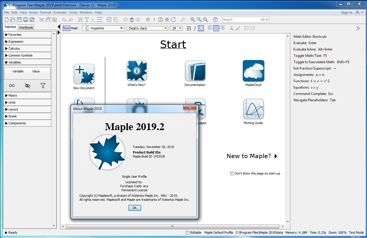 Maplesoft Maple 2019.2.1