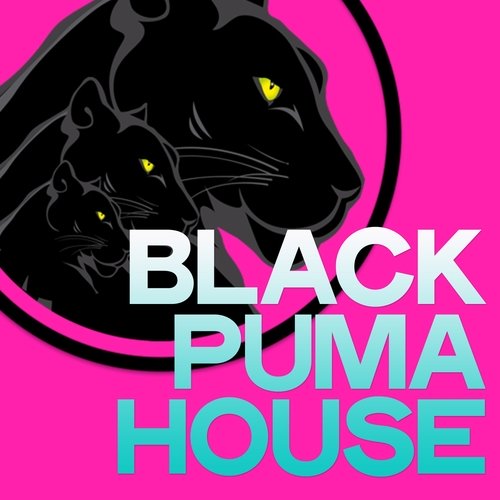 VA – Black Puma House (2020)