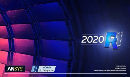 ANSYS 2020 R1 nCode DesignLife x64