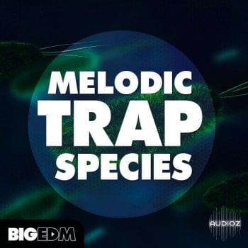 Big EDM Melodic Trap Species WAV MIDi PRESETS screenshot
