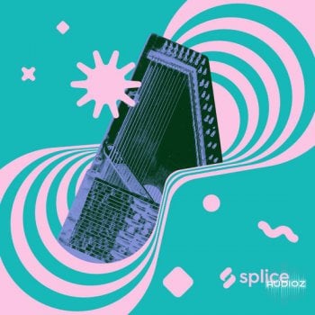 Splice Originals Laraaji Reimagined Photay WAV-DECiBEL screenshot