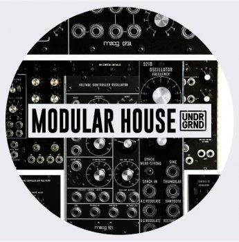 UNDRGRND Sounds Modular House WAV screenshot