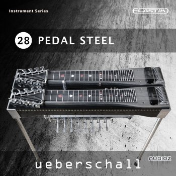 Ueberschall Pedal Steel ELASTIK screenshot