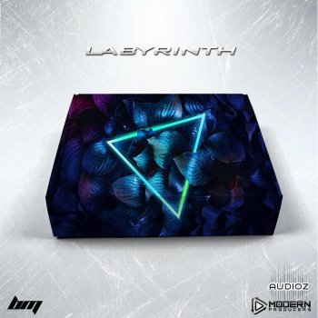 Modern Producers Labyrinth (MIDI & Stem Kit) WAV MIDI screenshot