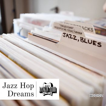 Rankin Audio Jazz Hop Dreams WAV screenshot