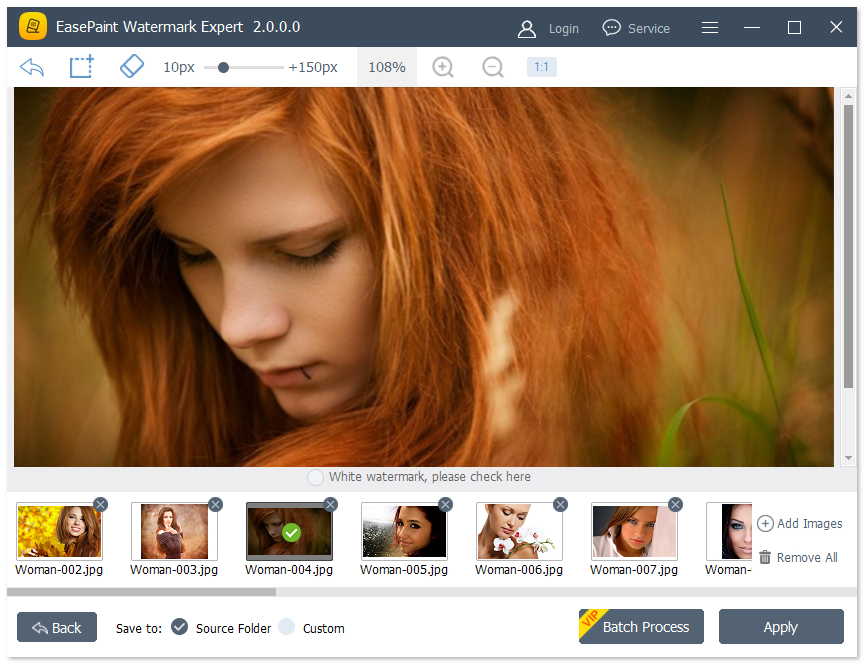 EasePaint Watermark Expert 2.0.0.0