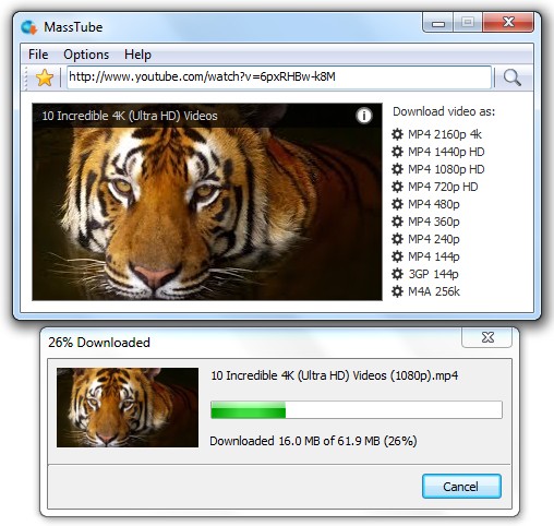 MassTube Plus 12.9.8.364