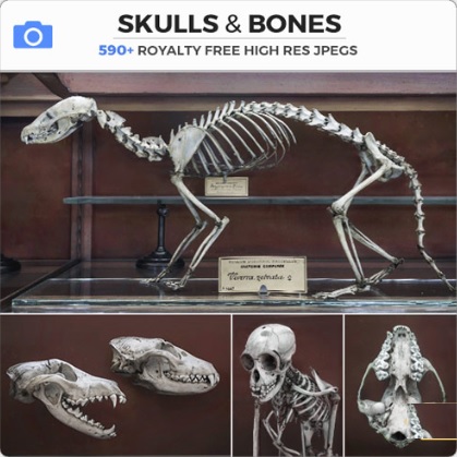 Photobash – Skull & Bones