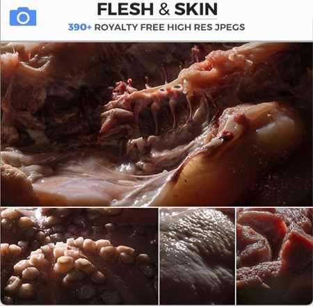 Photobash – Flesh & Skin