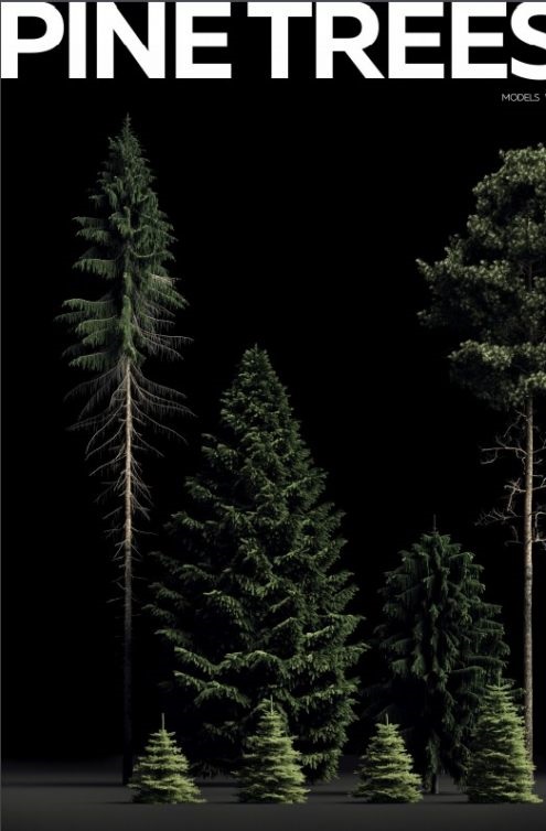 Pine Trees Models Vol 01