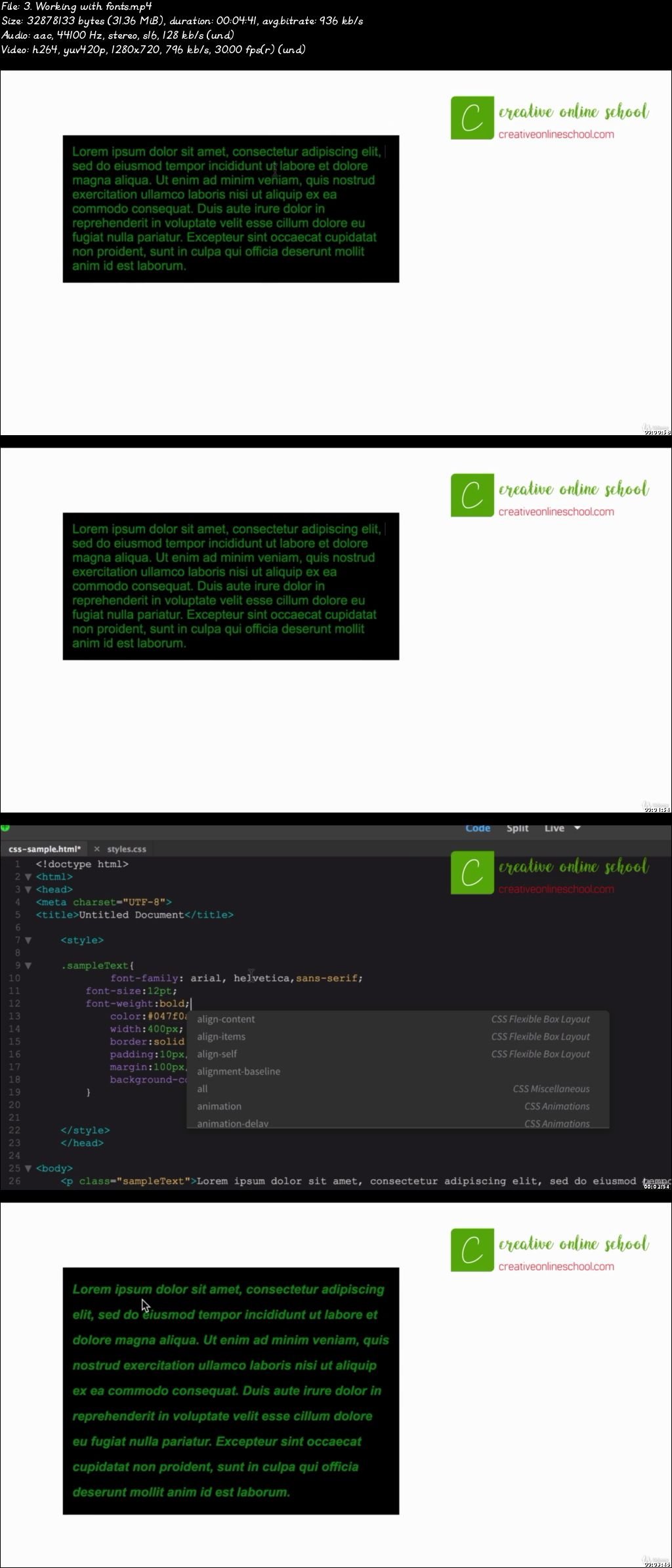  The complete CSS3 and Bootstrap for Beginners 