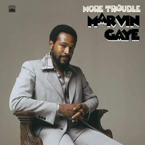 Marvin Gaye – More Trouble (2020) FLAC