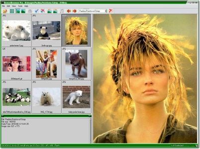 BreezeBrowser Pro 1.12