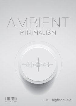 Big Fish Audio Ambient Minimalism KONTAKT screenshot