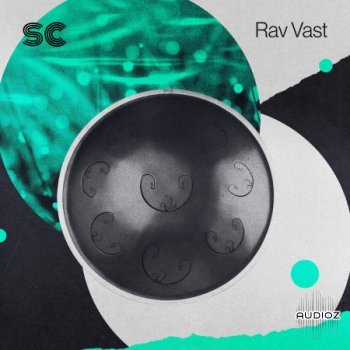 Sonic Collective Rav Vast MULTiFORMAT-FLARE screenshot