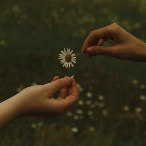 Goldmund – The Time It Takes (2020)
