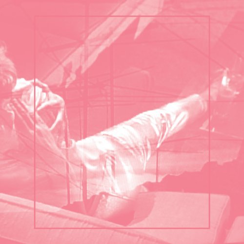 Pinkcourtesyphone – Leaving Everything to Be Desired (2020)