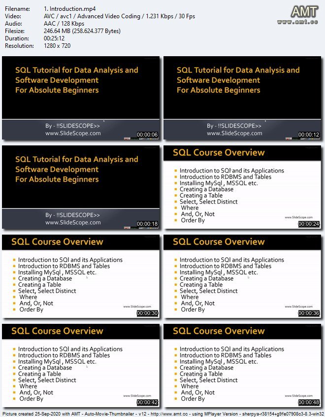 SQL Programming for Data Analysis and Software Development