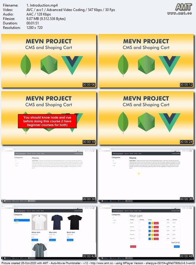 MEVN Project - CMS and Shopping Cart