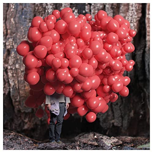 David Lord – Forest Standards Vol. 2 (2020)