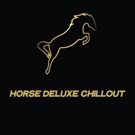 Various Artists – Horse Deluxe Chillout (2020)