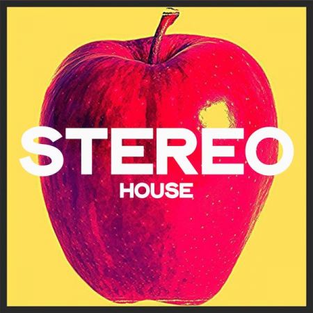 Various Artists – Stereo House (Top House 2020 Winter Selection) (2020)