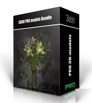 3DDD/3DSky PRO models – October 1 2020