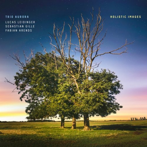 Lucas Leidinger – Holistic Images (2020)