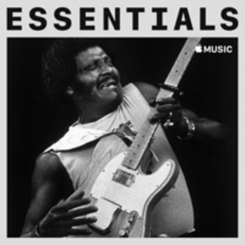 Albert Collins – Essentials (2020)
