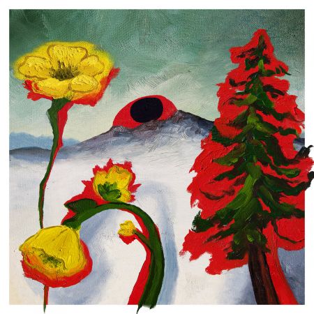 Woods – Strange To Explain (2020)