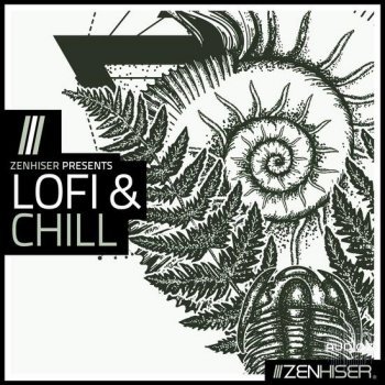 Zenhiser Lofi and Chill MULTiFORMAT-DECiBEL screenshot