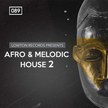 Bingoshakerz Afro And Melodic House 2 By Lowton Records MULTi-FORMAT-DISCOVER screenshot