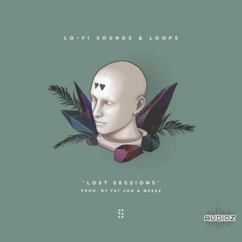 Samplified Lost Sessions MULTiFORMAT-FLARE screenshot