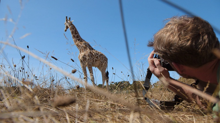 Photographing Wildlife