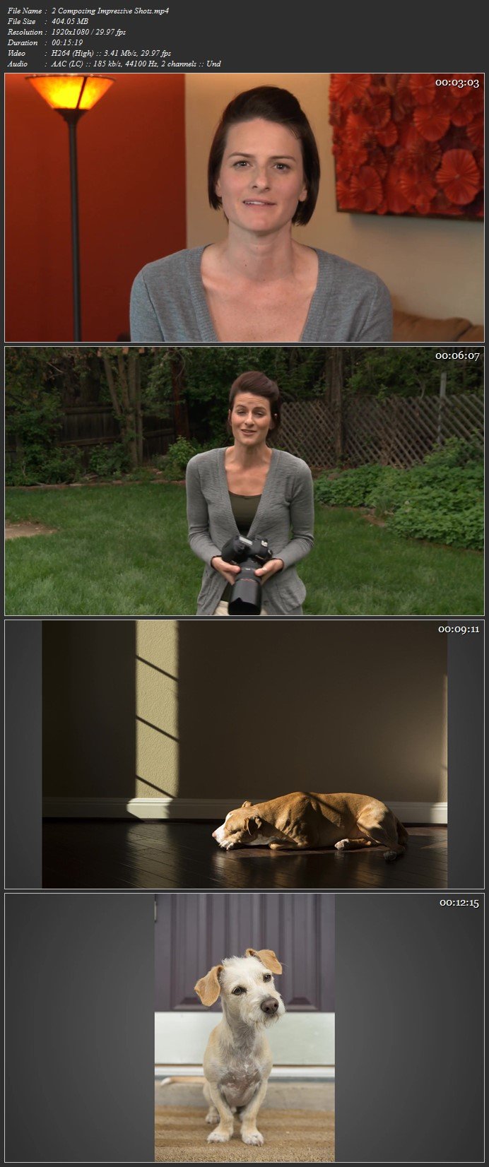 Pet Photography with Norah Levine