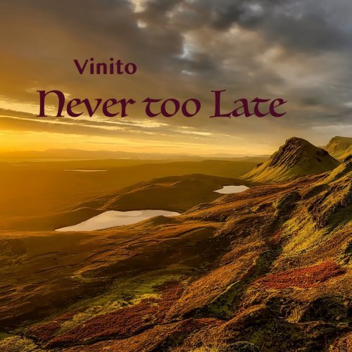 Vinito – Never Too Late (2020)