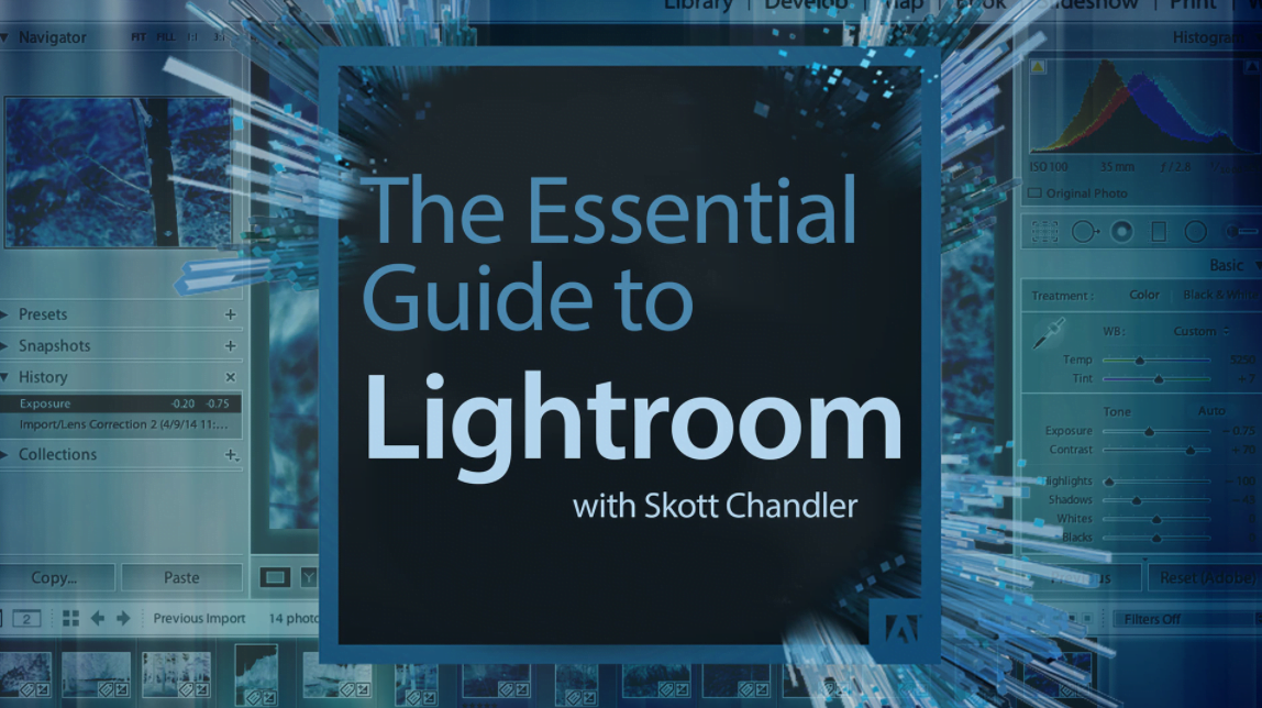The Essential Guide to Lightroom