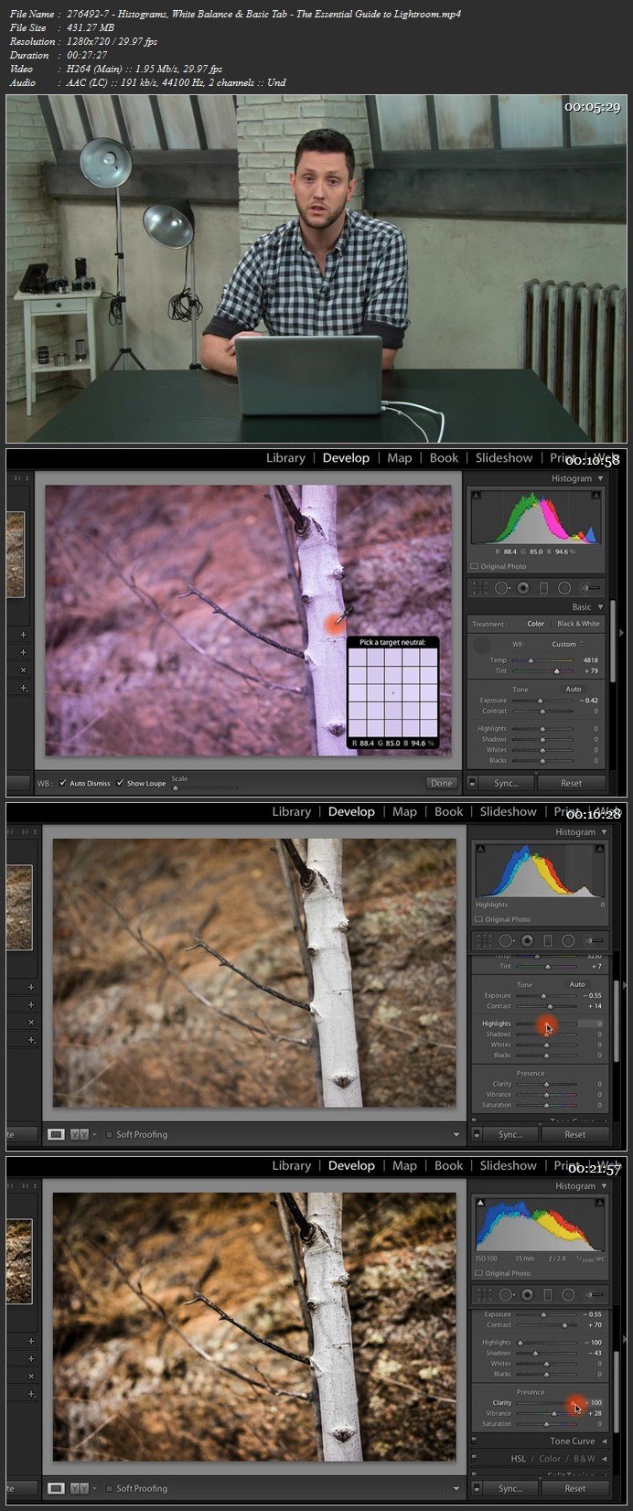 The Essential Guide to Lightroom