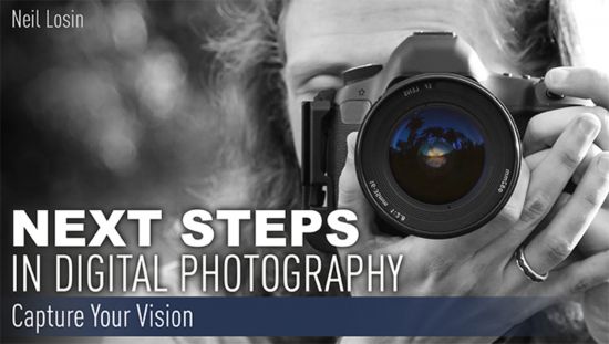 Next Steps in Digital Photography: Capture Your Vision