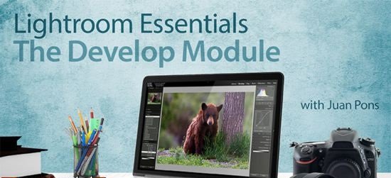 Lightroom Essentials: The Develop Module