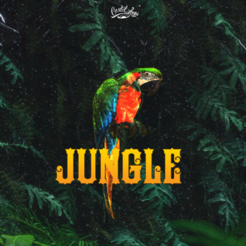 Cartel Loops Jungle Part 1 WAV MiDi-DISCOVER