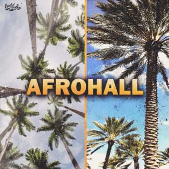 Cartel Loops Afrohall WAV MiDi-DISCOVER